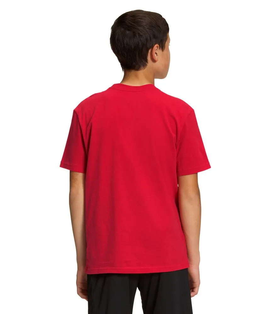 Camiseta Graphic Tee Manga Corta Roja Niño The North Face