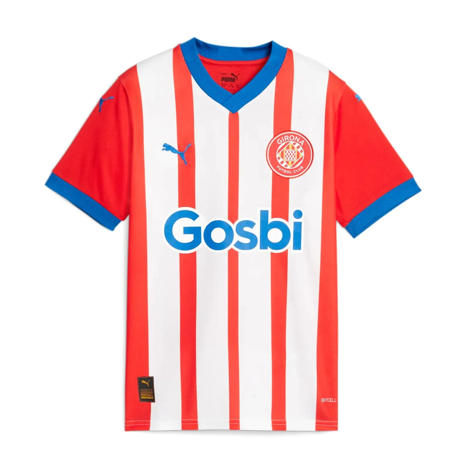 Camiseta Puma Girona FC niño 2023 2024