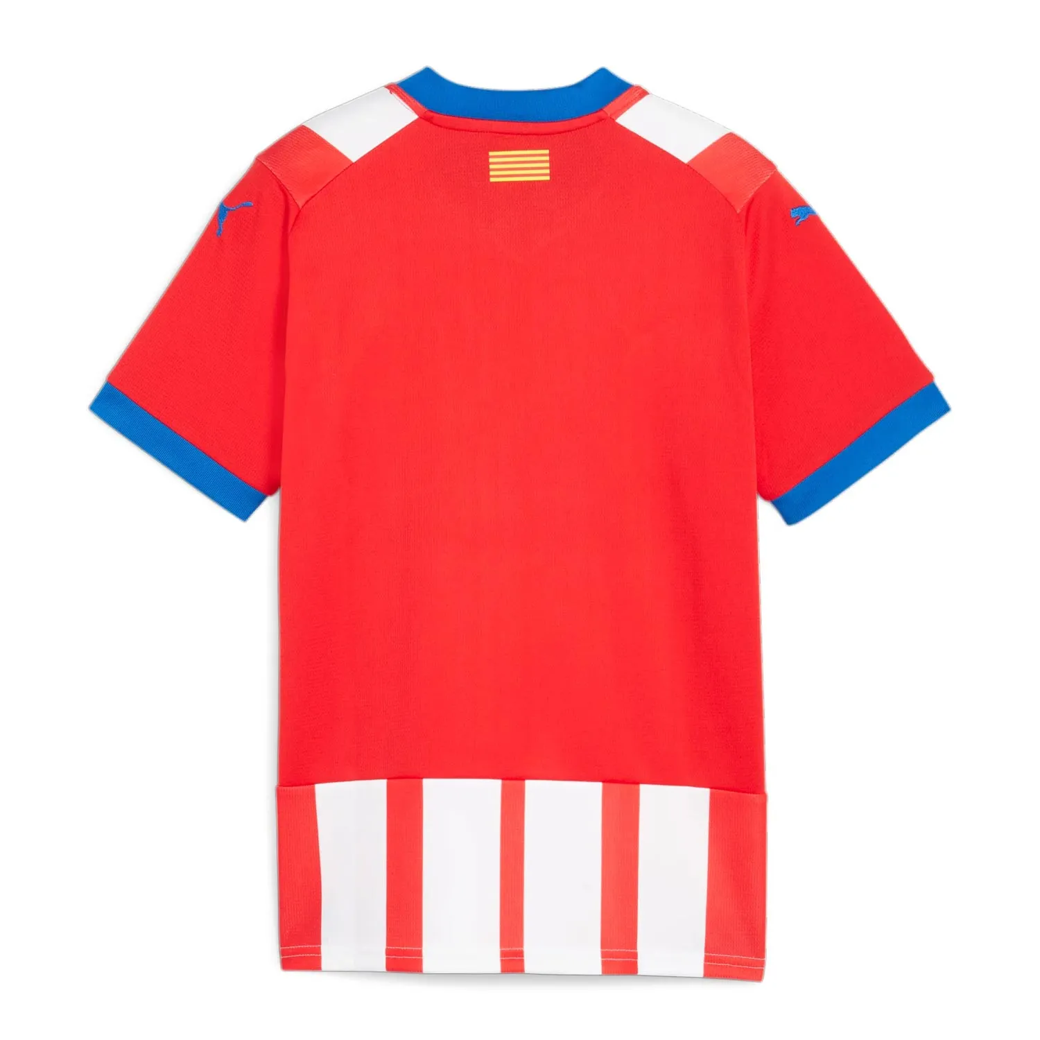 Camiseta Puma Girona FC niño 2023 2024