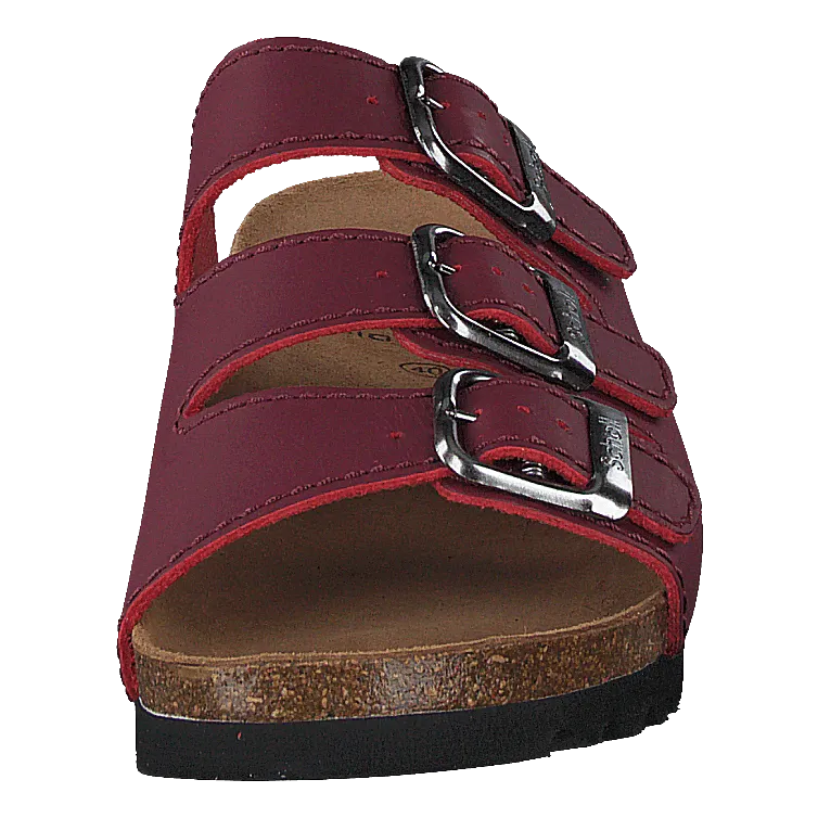 Scholl Rio Bordeaux