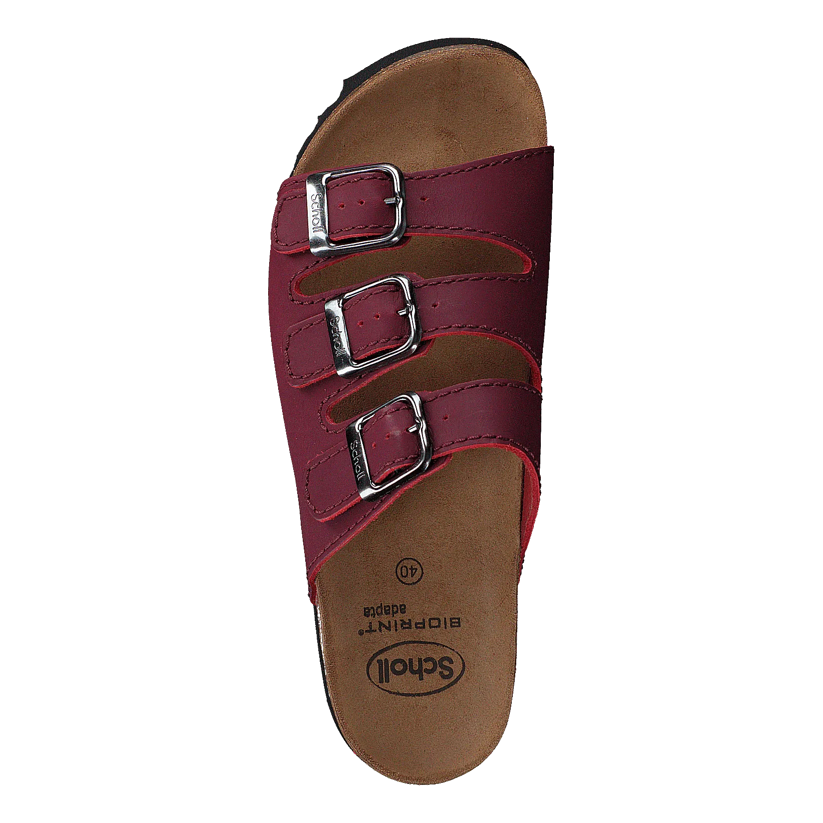 Scholl Rio Bordeaux