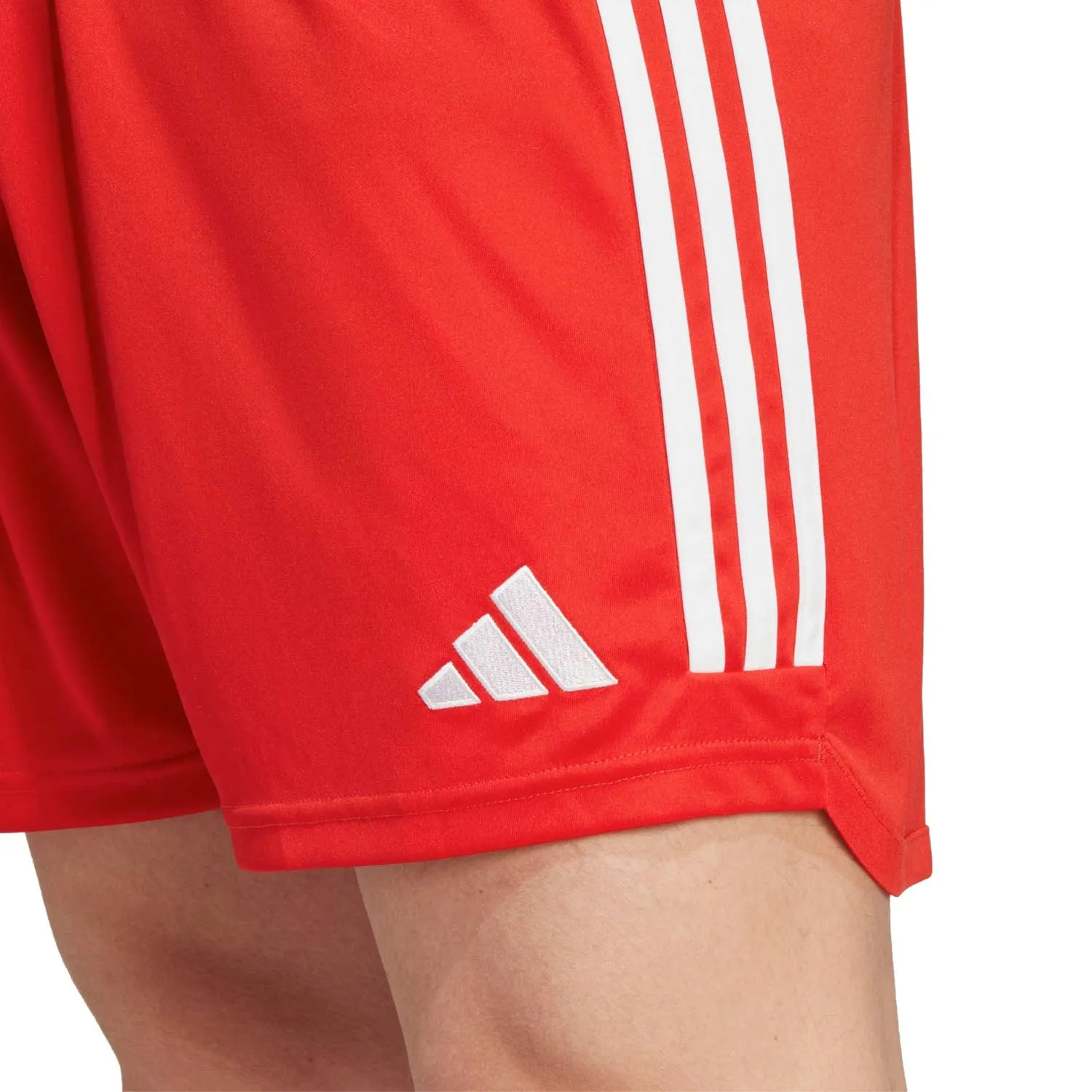 Short adidas Bayern 2023 2024