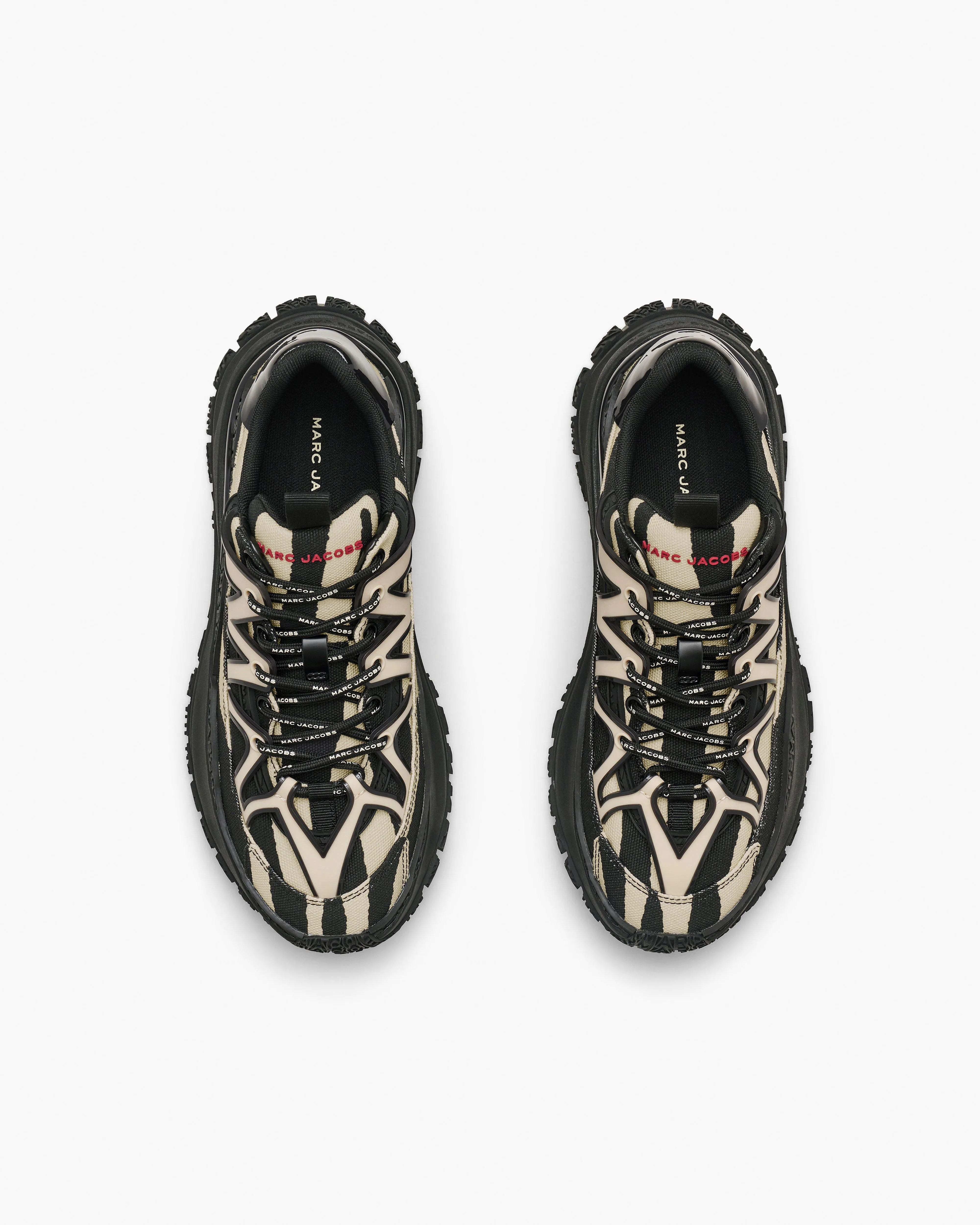 The Zebra Canvas Lazy Hiker